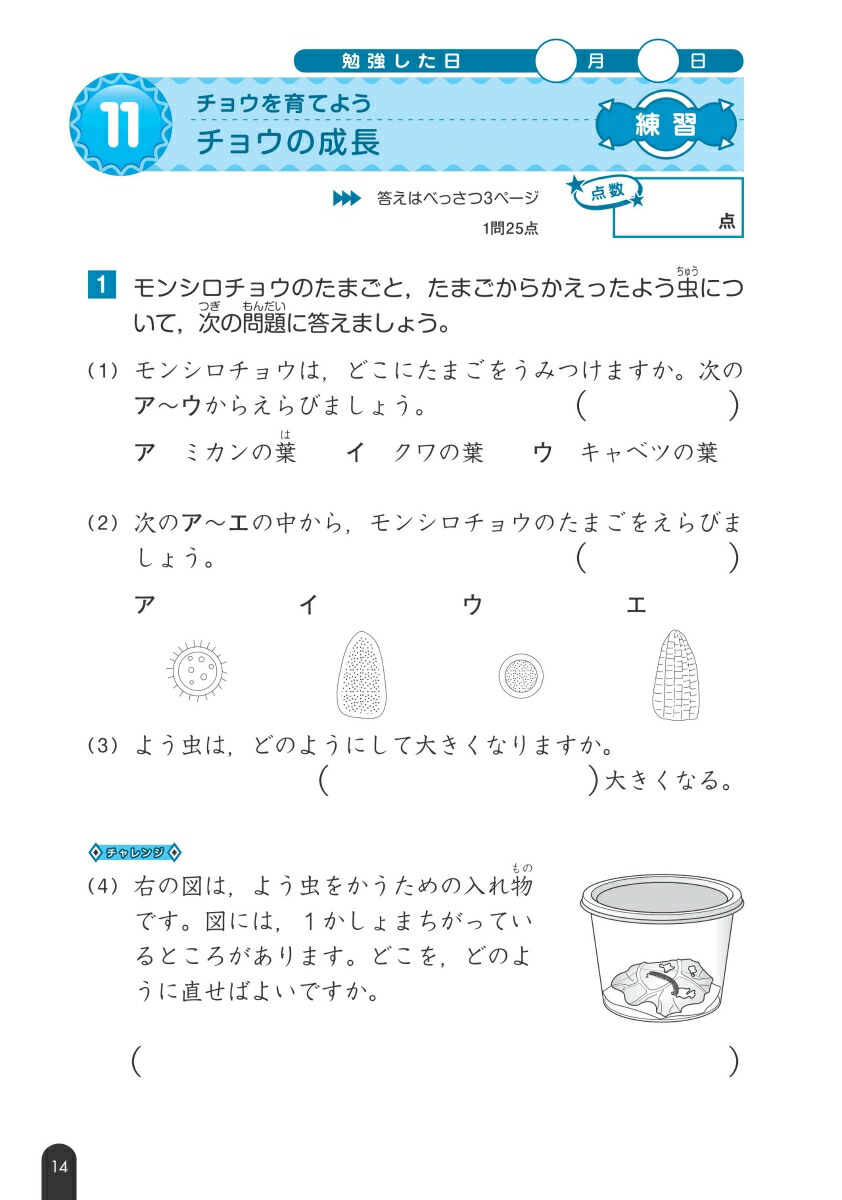 楽天ブックス 小学理科 理科問題の正しい解き方ドリル 3年 旺文社 本