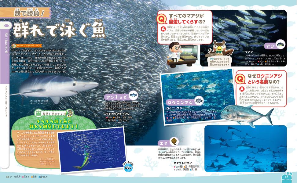 ���Ĥޤ�ɤ��֤Ĥο����������ο޴աʹ��̼Ҥ�ư���޴�MOVE��[���̼�]