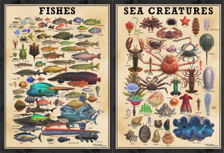 ���Ĥޤ�ɤ��֤Ĥο����������ο޴աʹ��̼Ҥ�ư���޴�MOVE��[���̼�]