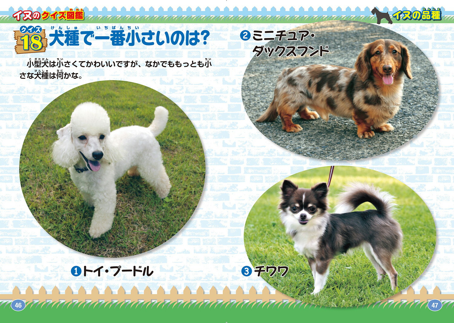 ���̤Υ������޴տ����ǡʳظ��Υ������޴ա�[��������]