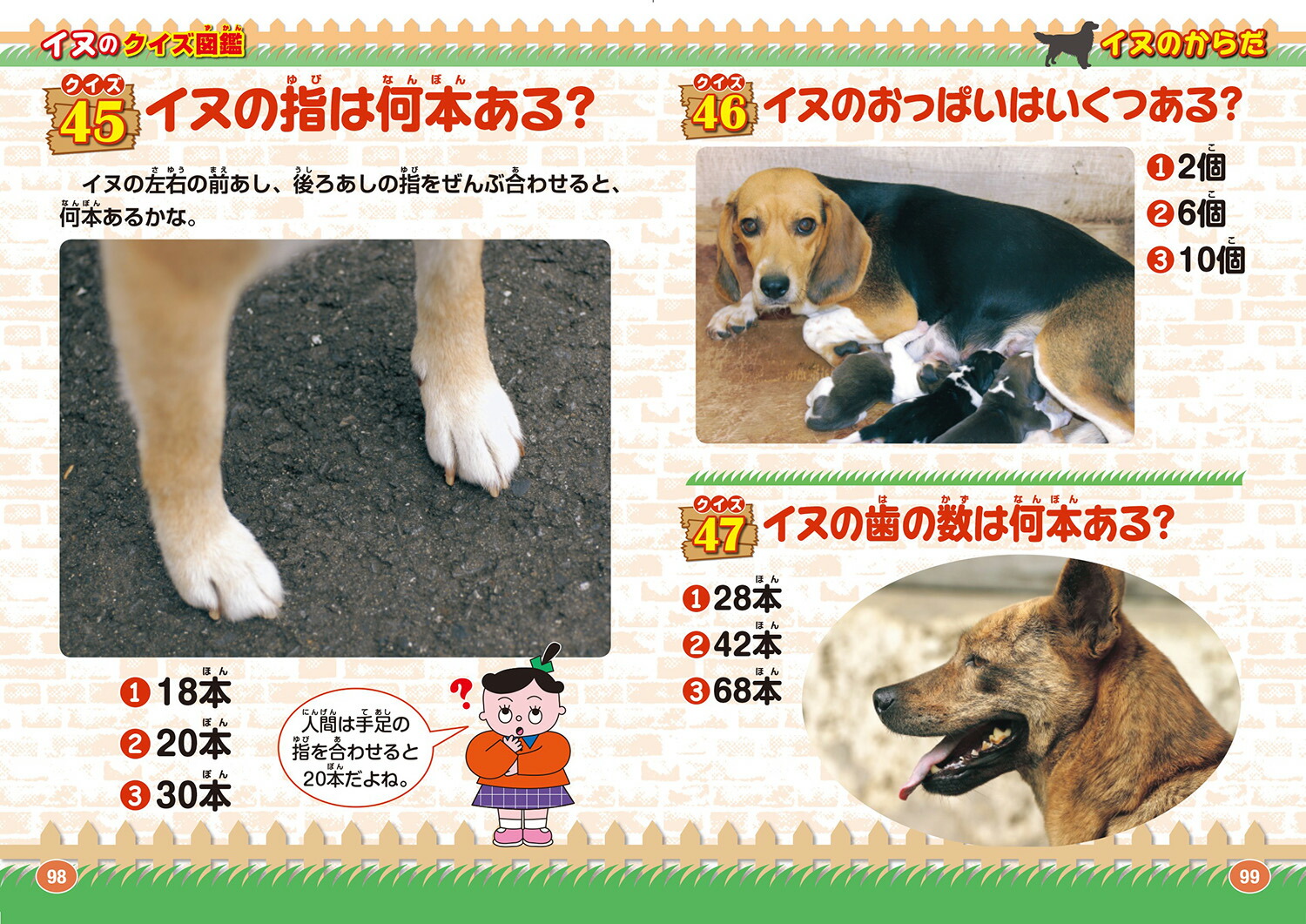 ���̤Υ������޴տ����ǡʳظ��Υ������޴ա�[��������]