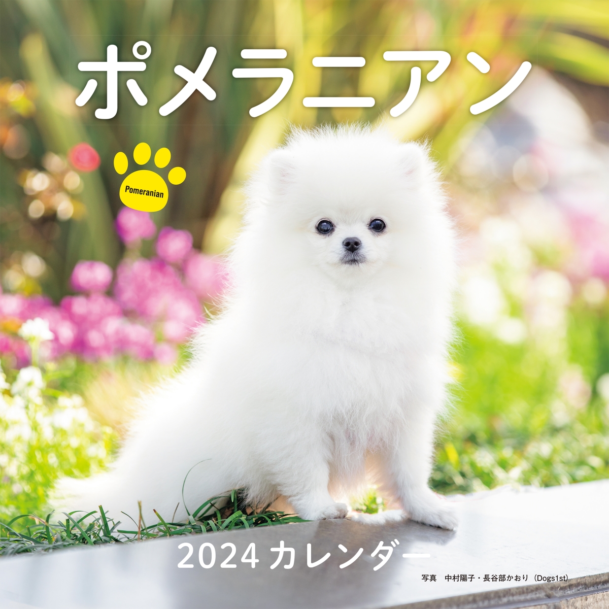 2024年カレンダー ポメラニアン