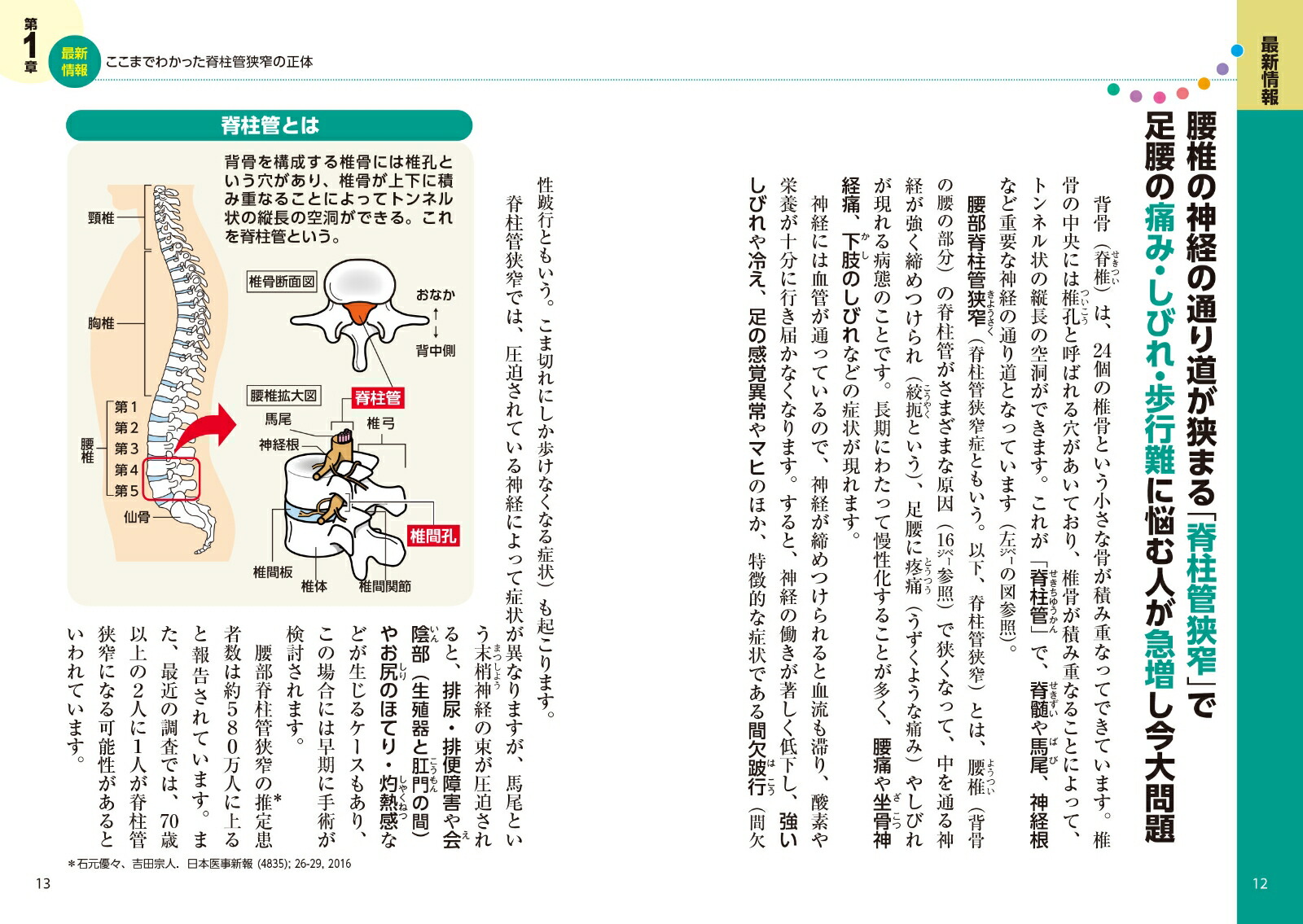 ����ɶ����ɼ��Ϥǹ���������̾�夬������ǿ�1ʬ����������ݹ��ǳز�θ��ҡ���ض��������������������ˡ�­΢���Ӥ졦Ĺ���⤱�ʤ���������֤ꡦ�����Τ��Ӥ��ˤʤɤĤ餤�Ȥ��Ƥ����˸����ɾ��̥����ʷ򹯼��ѡ�[���Ͽð�ʤ�5̾]