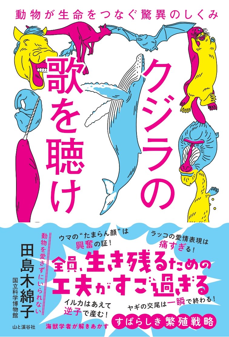 楽天市場】海棲哺乳類大全 彼らの体と生き方に迫る／田島木綿子／山田