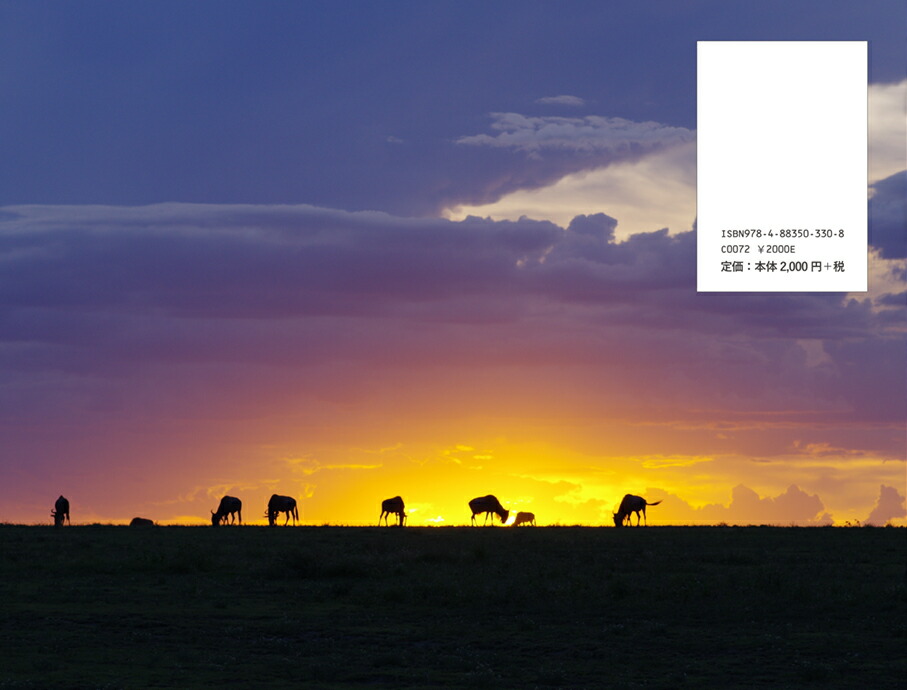 ���եꥫ���Х�ʥ��ȡ��꡼�����붯��[���͵��]