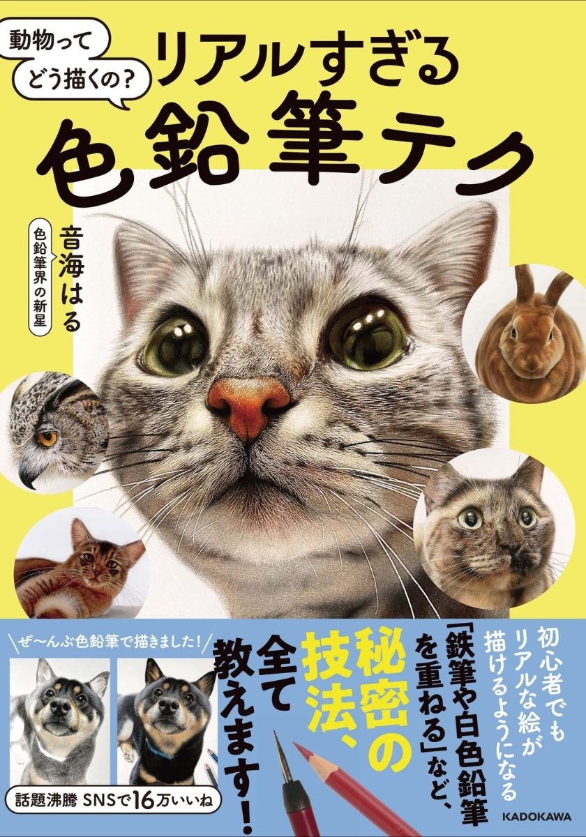 楽天ブックス: 動物ってどう描くの？リアルすぎる色鉛筆テク - 音海 は