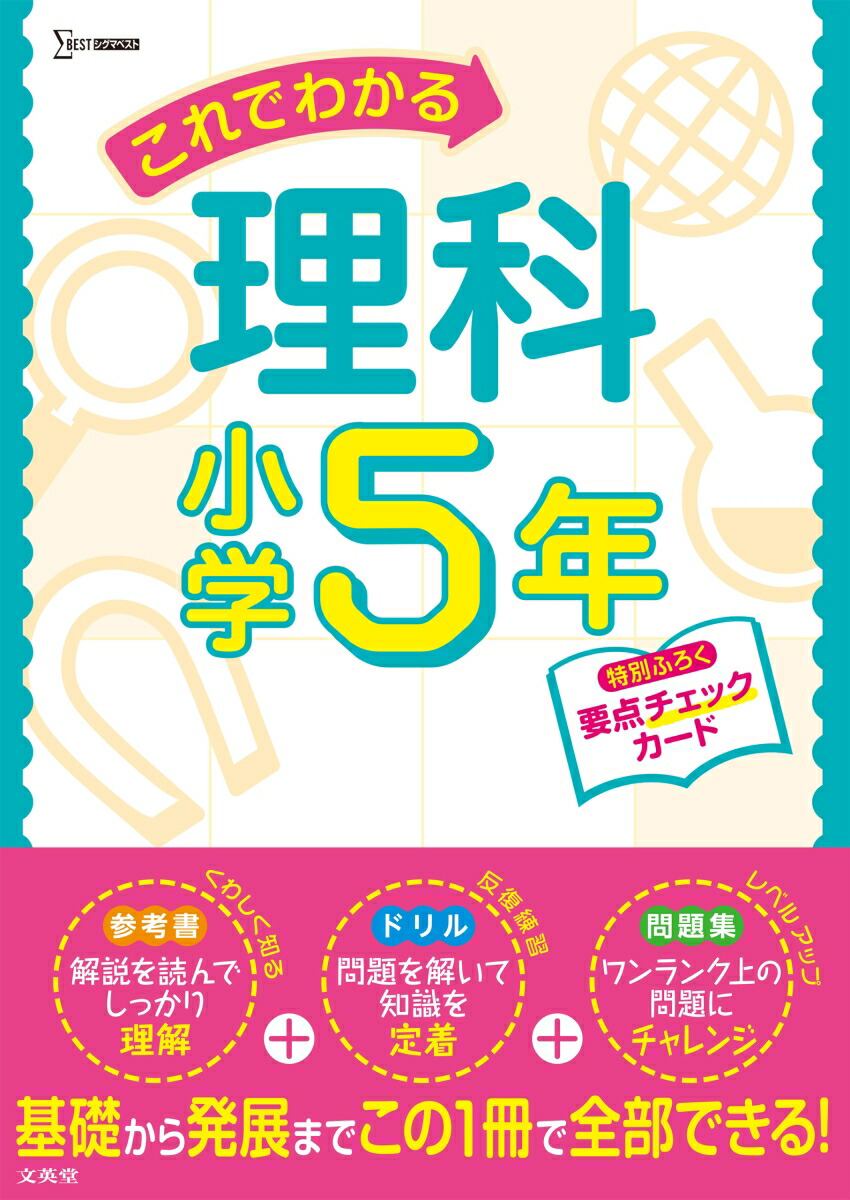 Ǥ狼ʾ5ǯʾؤǤ狼[ʸƲԽ]