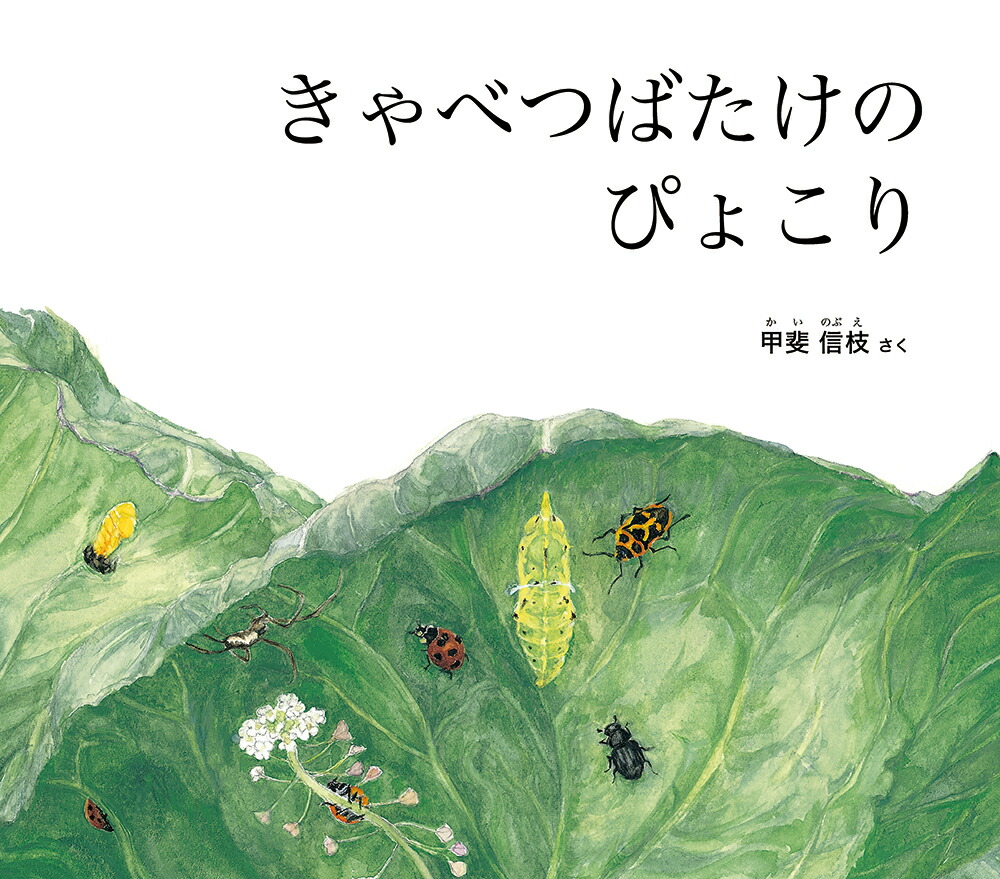 ٤ĤФΤԤ礳Ļܤդʤͥ꡼[忮]