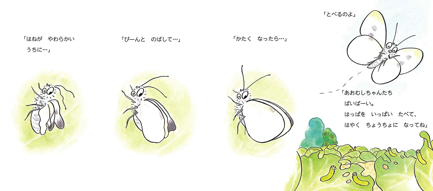 ちょうちょのしろちゃん（かわいいむしのえほん）[高家博成]