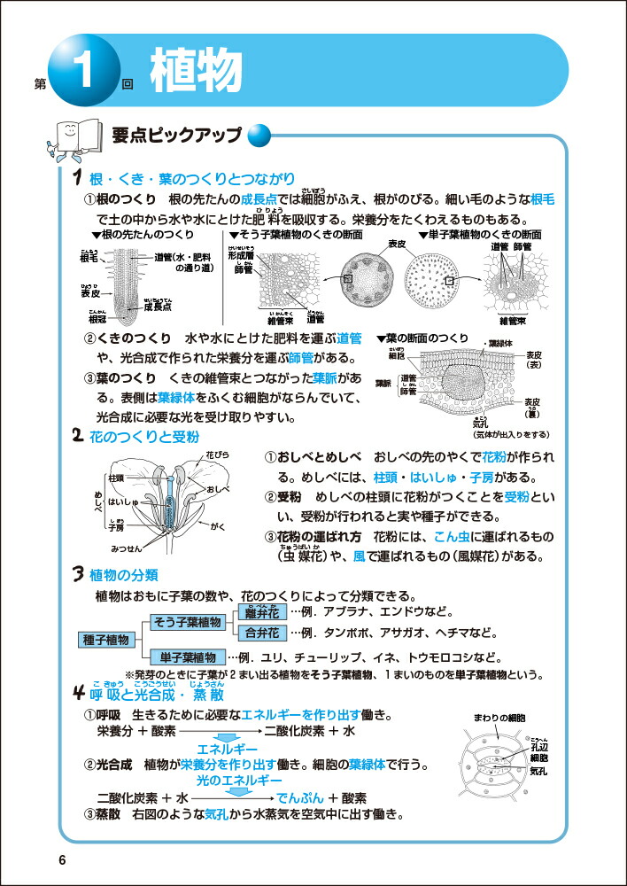 楽天ブックス 理科の基本問題 小学5年 中学受験 日能研教務部 本