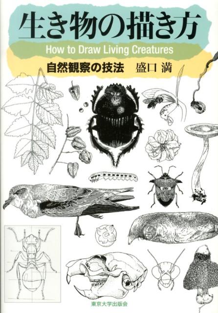 楽天ブックス 生き物の描き方 自然観察の技法 盛口満 本