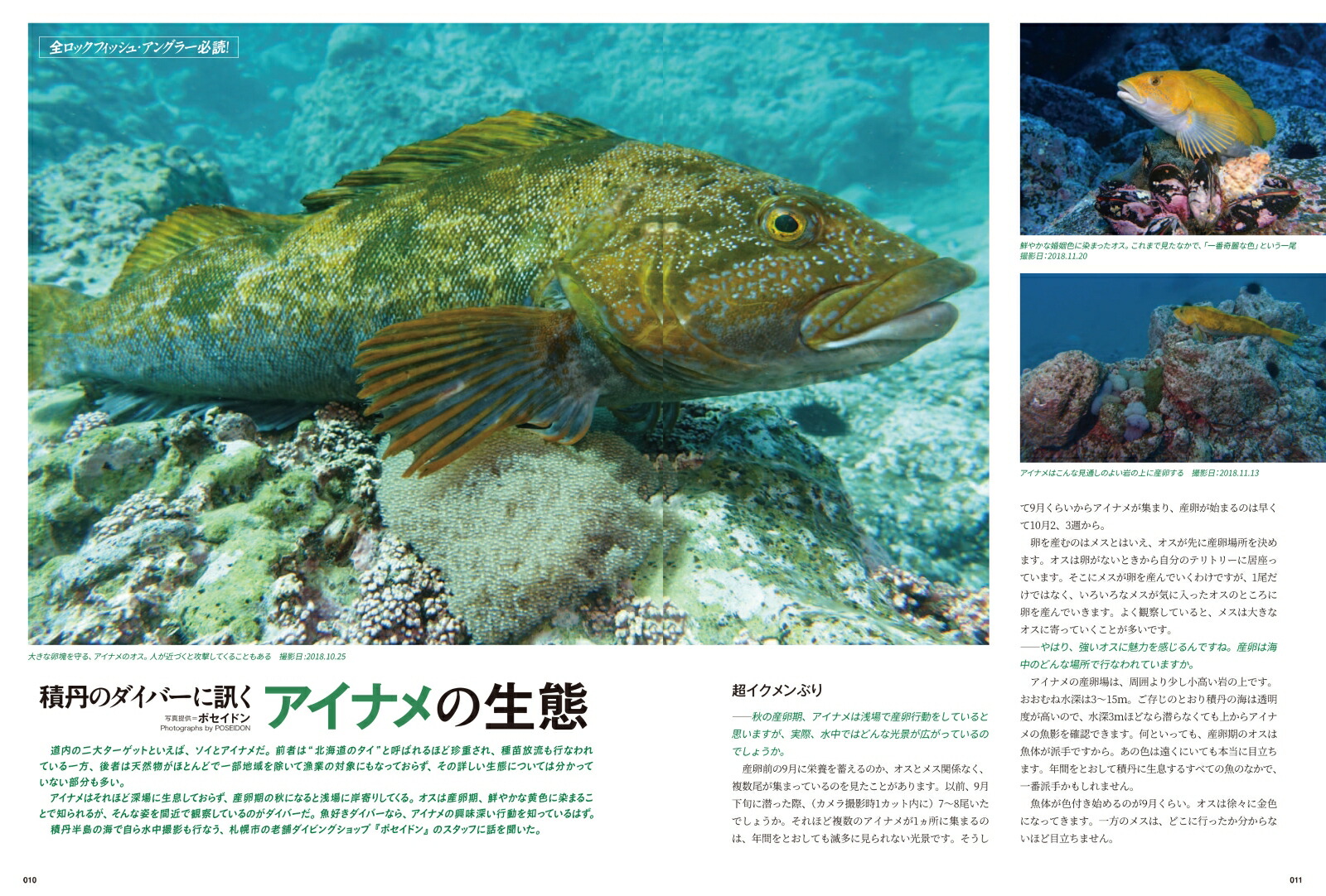 新版根魚北海道巨大ロックフィッシュを攻略！アイナメ・ソイ・メバル・ハチガラ・カジカ[つり人社北海道支社]