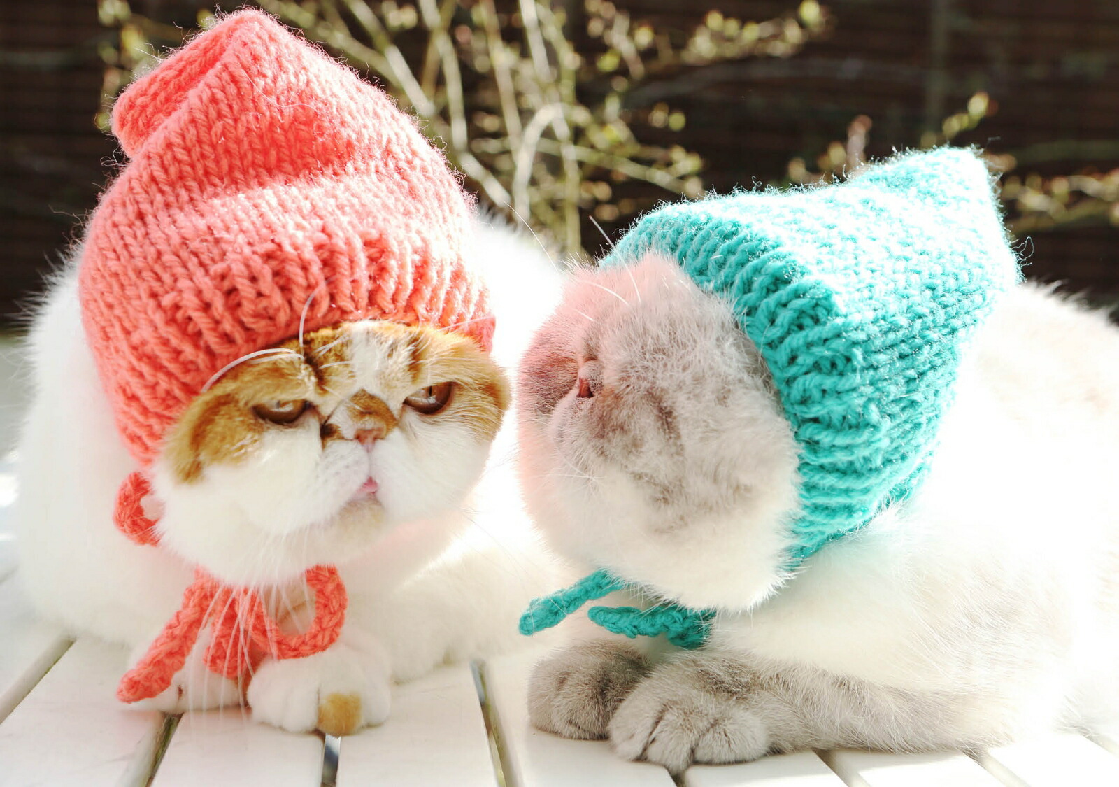 Niko��Poko[Maki]