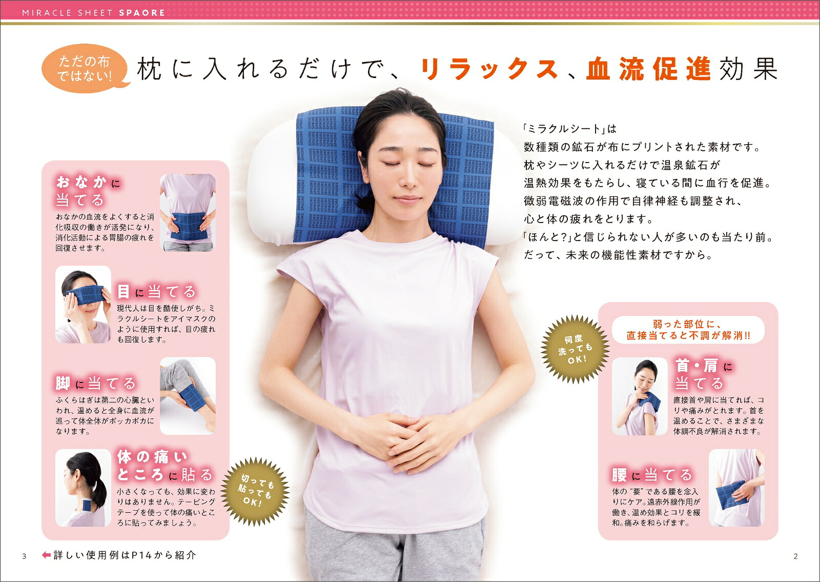 疲れとり「極」ミラクルシート枕に入れるだけで不調が改善！（生活シリーズ）[池川明]