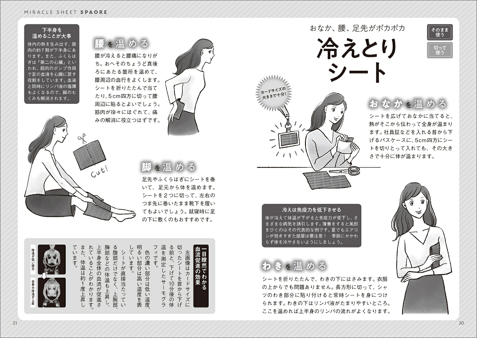 疲れとり「極」ミラクルシート枕に入れるだけで不調が改善！（生活シリーズ）[池川明]