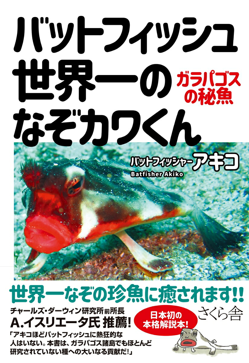 バットフィッシュ世界一のなぞカワくんガラパゴスの秘魚[バットフィッシャーアキコ]