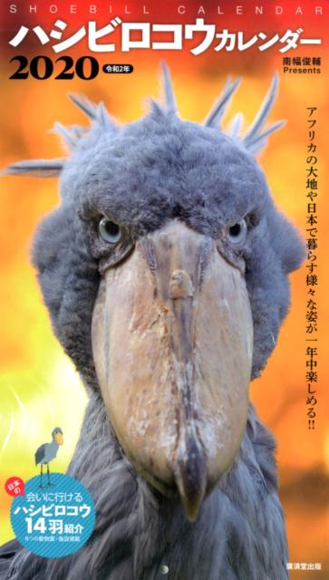 楽天ブックス ハシビロコウカレンダー 本