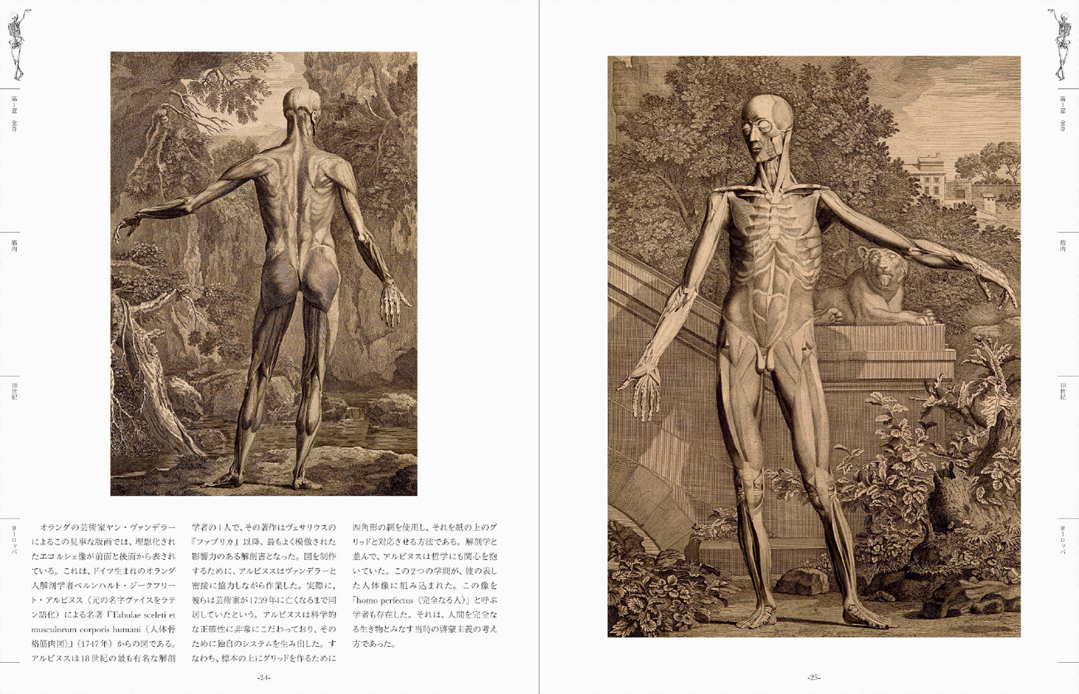 楽天ブックス 世界の人体解剖図集 美しく不可思議な人体解剖学の芸術 ジョアンナ エーベンステイン 本