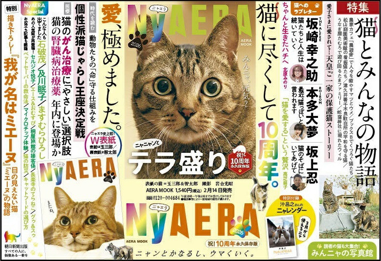 AERA��å�NyAERA2026�ƥ�����