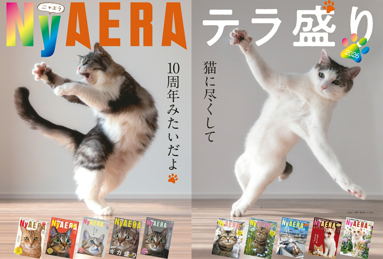 AERA��å�NyAERA2026�ƥ�����