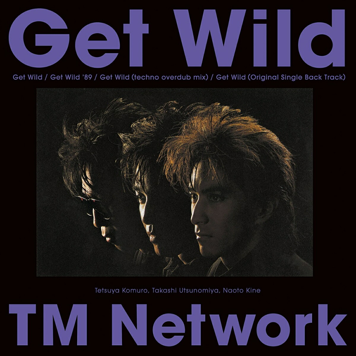 楽天ブックス: Get Wild (完全生産限定)【アナログ盤】 - TM NETWORK - 4560427433400 : CD