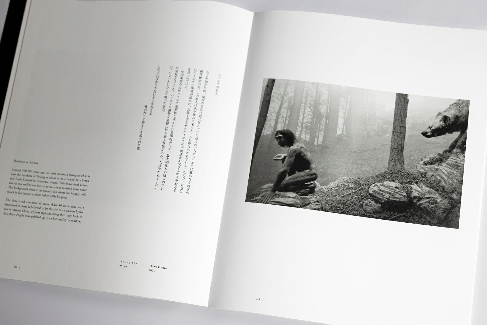 「杉本博司絶滅写真」図録