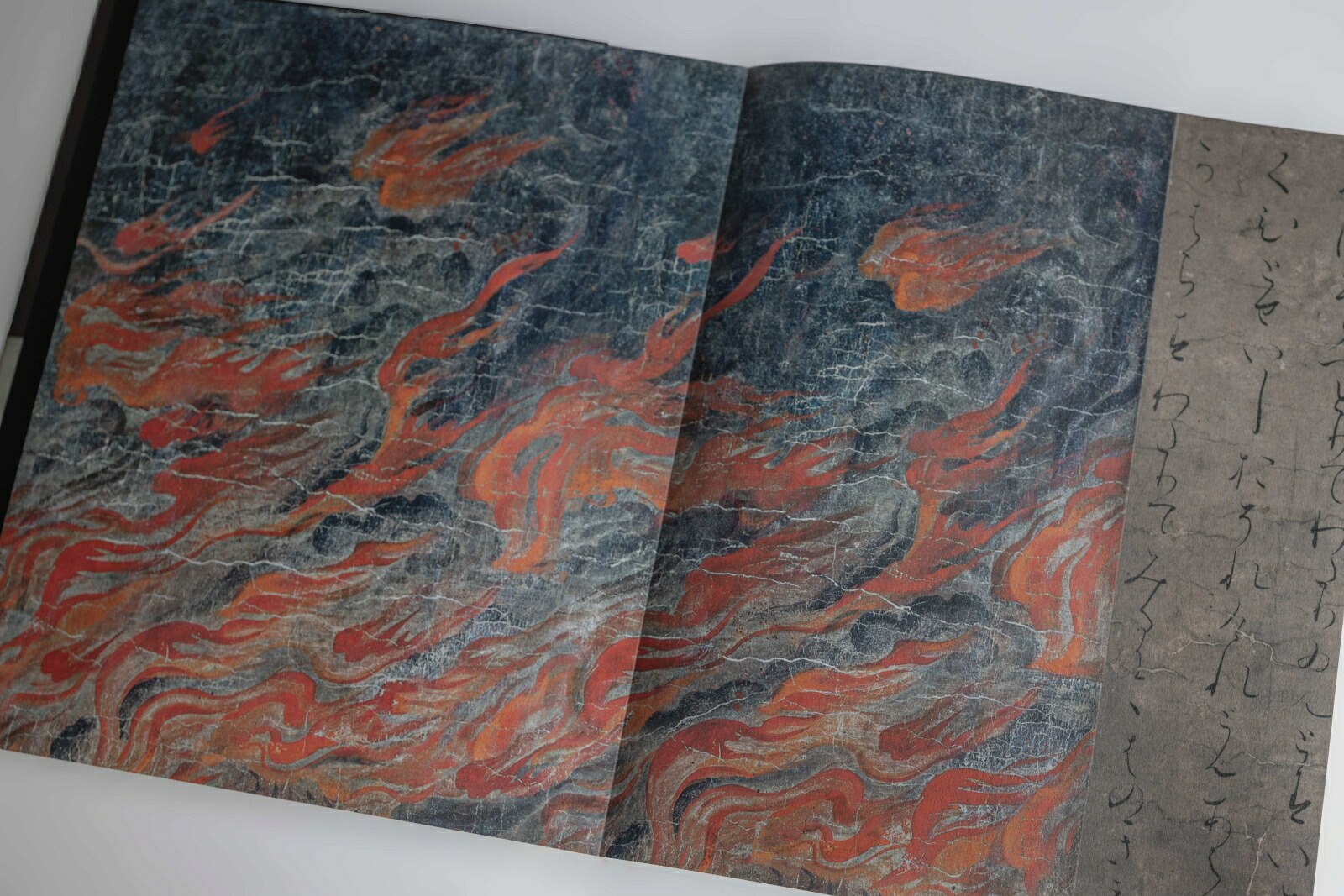「杉本博司絶滅写真」図録