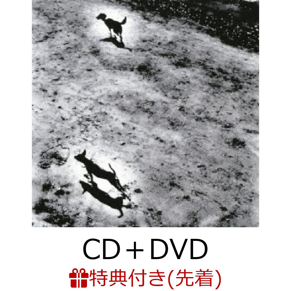 【帯あり】CD 中学生　betcover!!　特典ステッカー付き 帯あり】CD 中学生 betcover!! 特典ステッカー付き - メルカリ