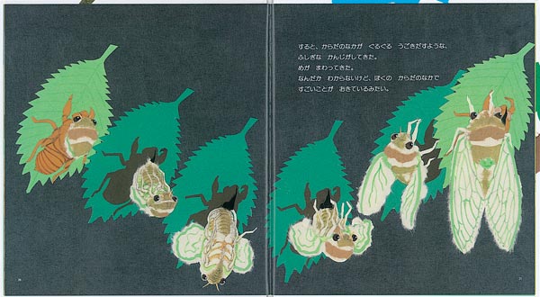 ܤ֤餼ߡʤΤȤ⳨ܡ[Ƿ]