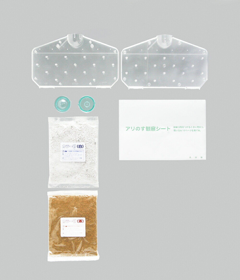 アリのす観察キット（［バラエティ］）