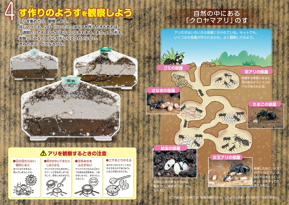 アリのす観察キット（［バラエティ］）