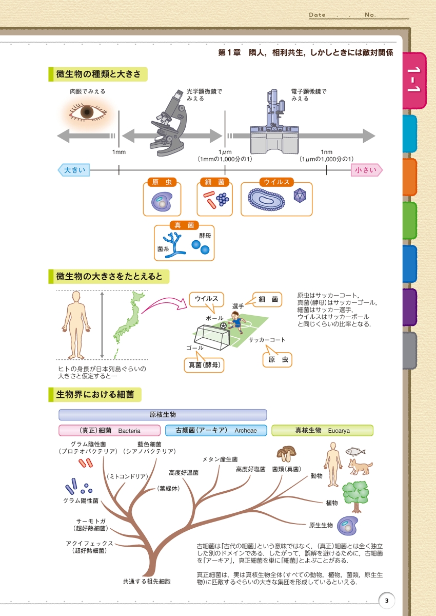 楽天ブックス イラストでわかる微生物学超入門 病原微生物の感染のしくみ 齋藤 光正 本