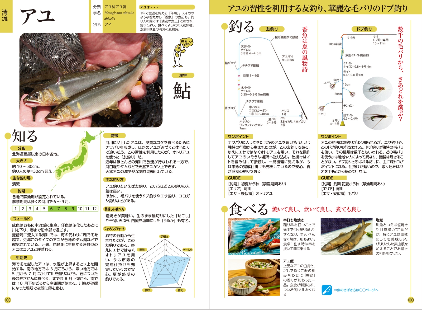 楽天ブックス さかな 釣り検索 特徴 仕掛け さばき方 が分かる672頁超図鑑 つり人社 本