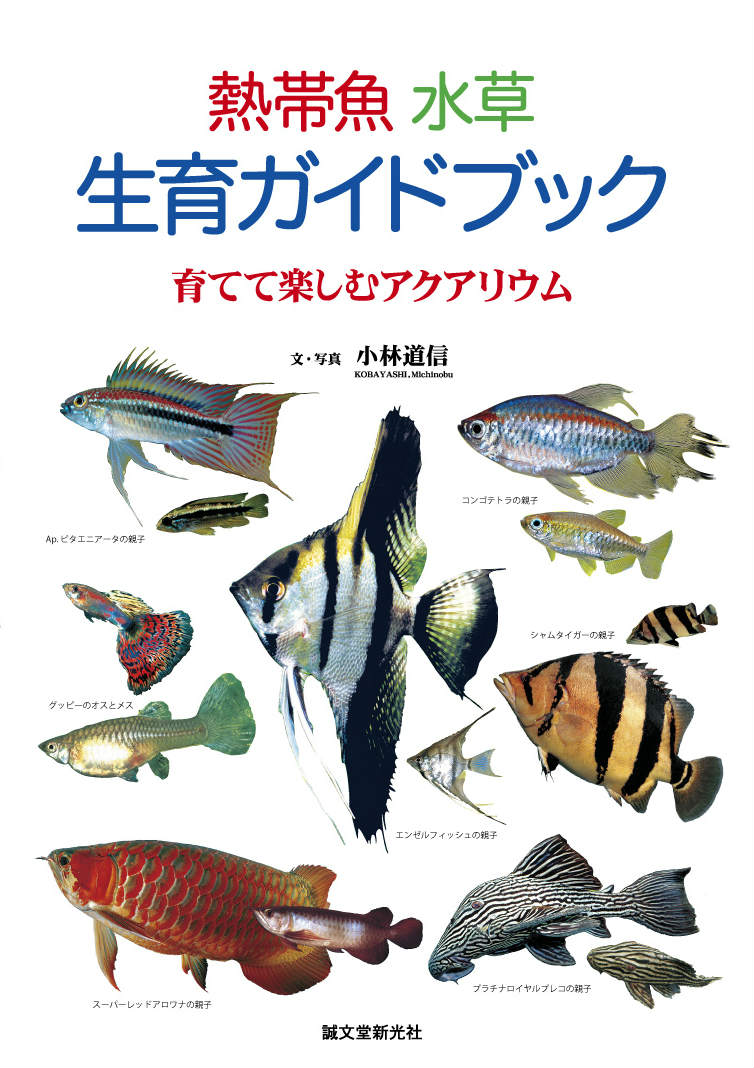 楽天ブックス 熱帯魚水草生育ガイドブック 育てて楽しむアクアリウム 小林道信 本