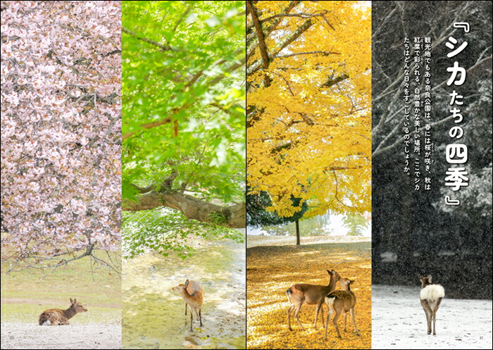 �����������˲񤤤˹Ԥ���-���ɸ���Ǹ��Ĥ��������Τ�������[��ƣ����]