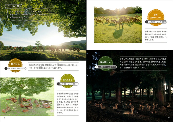 �����������˲񤤤˹Ԥ���-���ɸ���Ǹ��Ĥ��������Τ�������[��ƣ����]