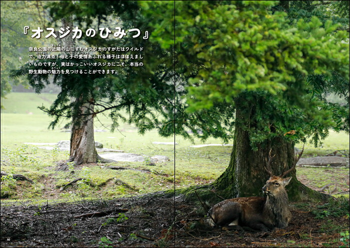 �����������˲񤤤˹Ԥ���-���ɸ���Ǹ��Ĥ��������Τ�������[��ƣ����]