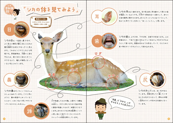 �����������˲񤤤˹Ԥ���-���ɸ���Ǹ��Ĥ��������Τ�������[��ƣ����]