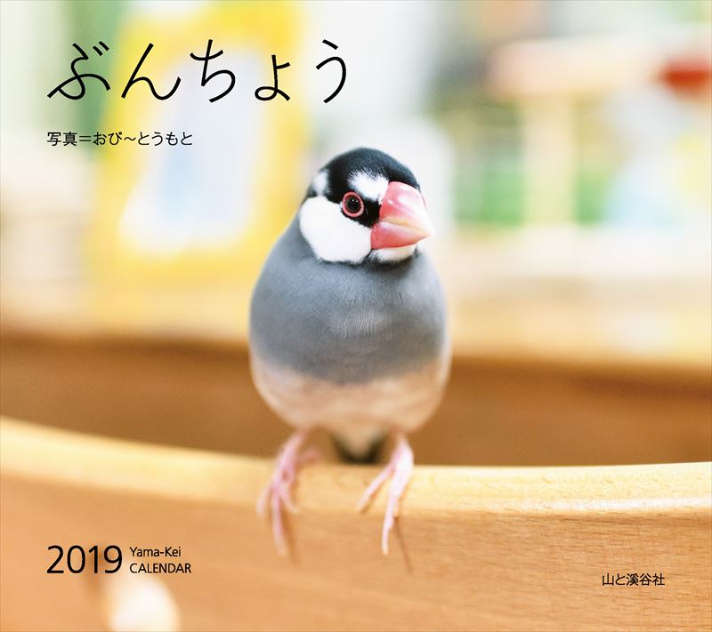 ֤礦2019ˡʡΥϡ