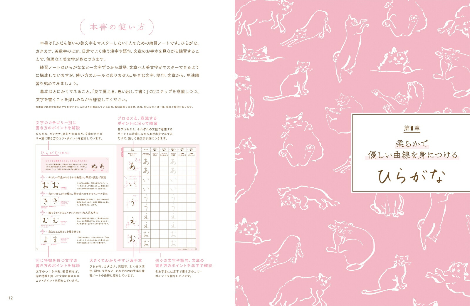 楽天ブックス ふだんの美文字練習ノート りさ 本