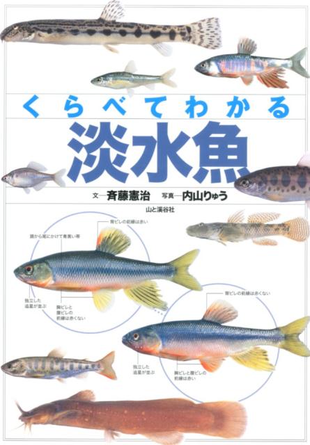 楽天ブックス くらべてわかる淡水魚 識別ポイントで見分ける 斉藤憲治 本