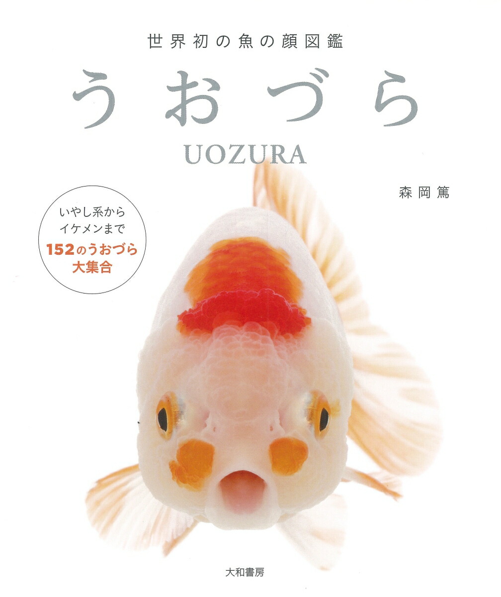 楽天ブックス うおづら 世界初の魚の顔図鑑 森岡 篤 本