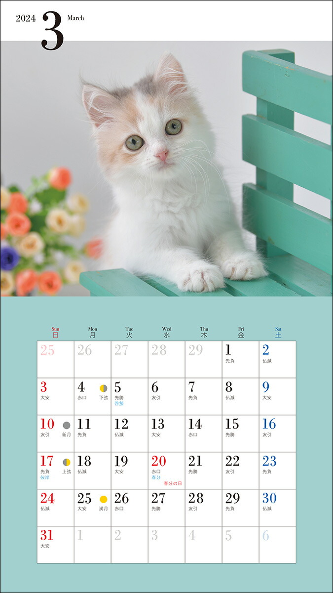 カレンダー 2025 無料猫 猫カレンダー 猫 2024 CAT とろし 写真