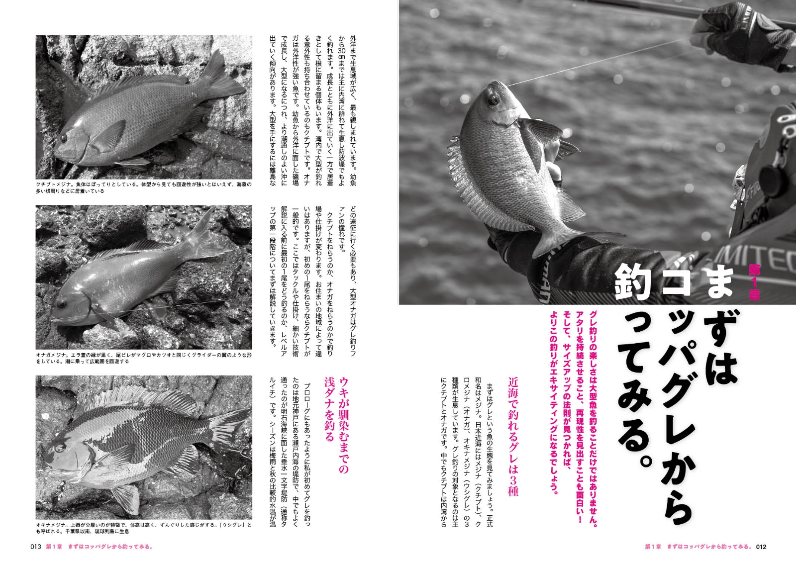 楽天ブックス 日本一グレを釣る男 シンプル を突き詰めれば磯釣りは 進化 する 友松 信彦 本