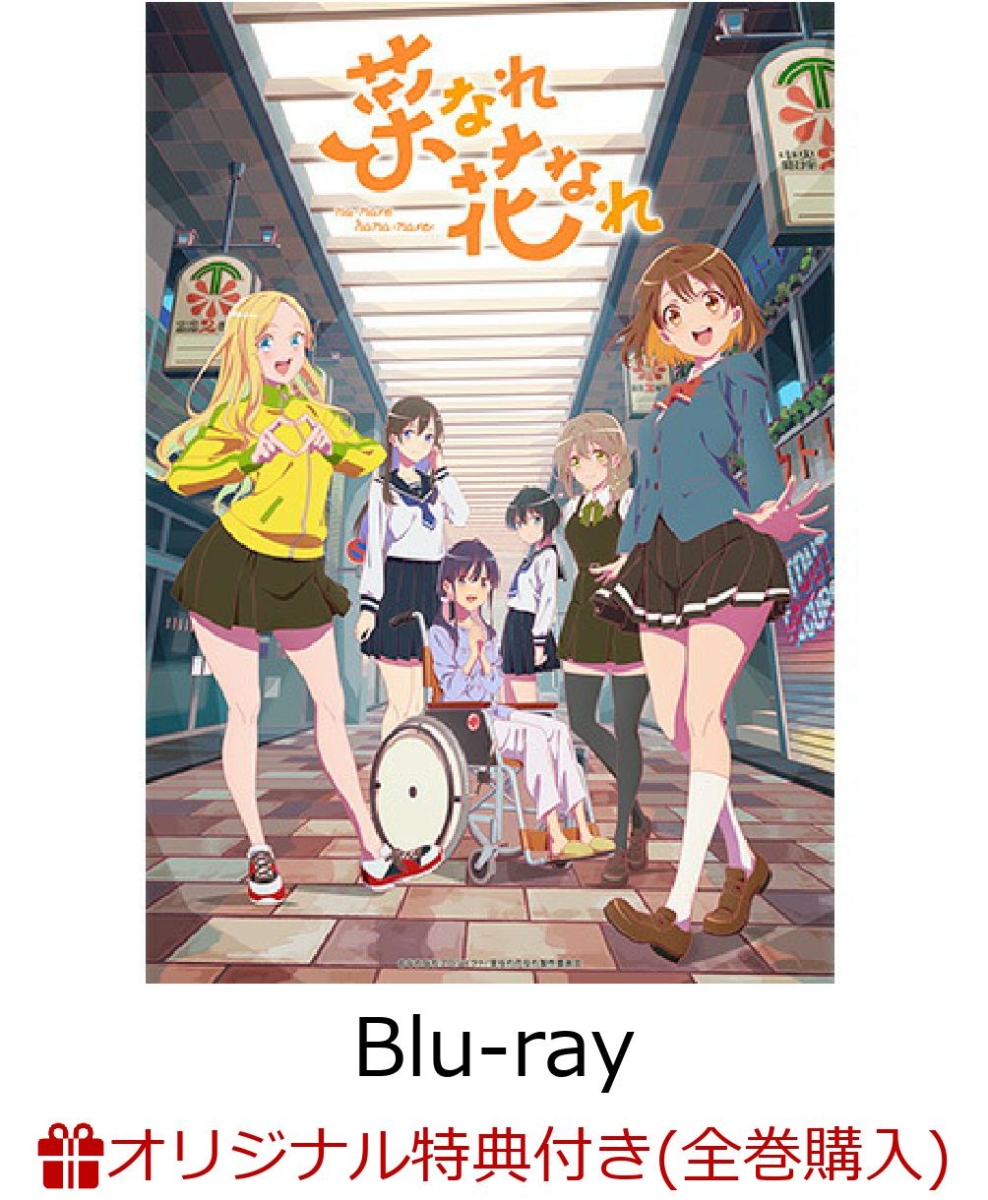 【楽天ブックス限定全巻購入特典+早期予約特典】菜なれ花なれ 第1巻【Blu-ray】(オリジナル2Lキャラファインマット＋ポンポン付きユニフォーム型アクリルキーホルダー+キャラクターデザイン・関口可奈味 描き下ろしミニ色紙(かなた))