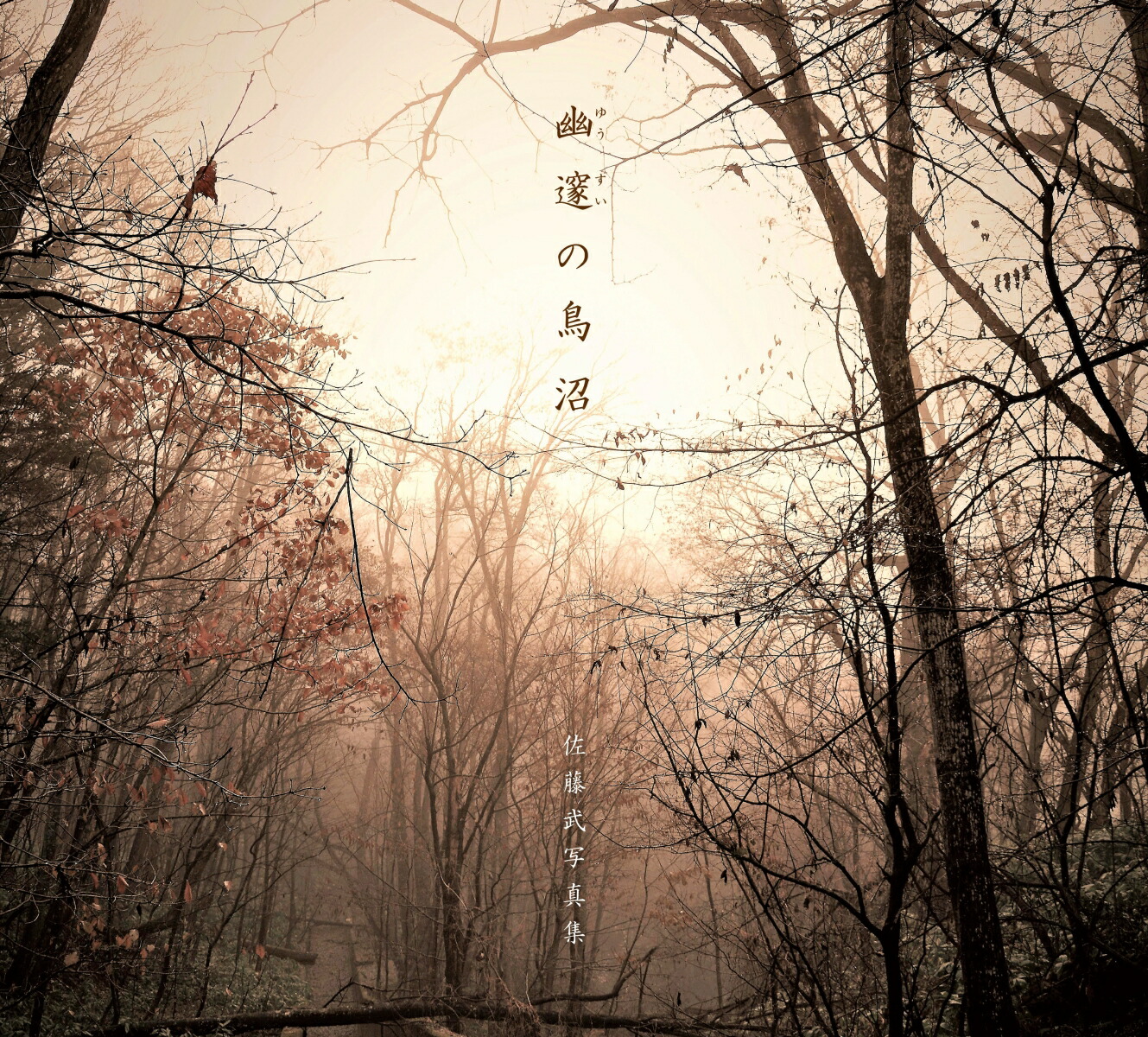 幽邃