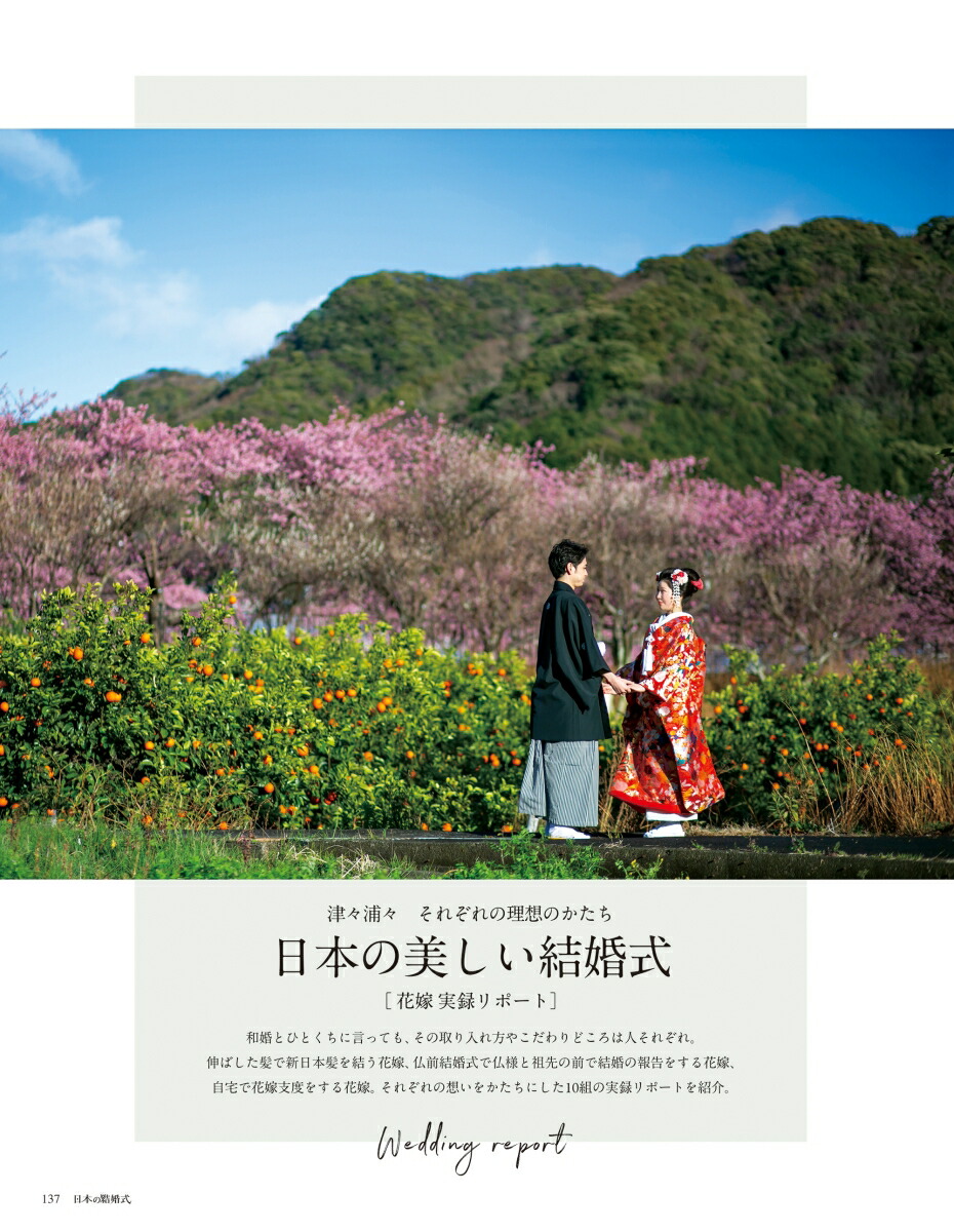 ���ܤη뺧��No.34�����襷�꡼����[IBJ�����ǥ���]