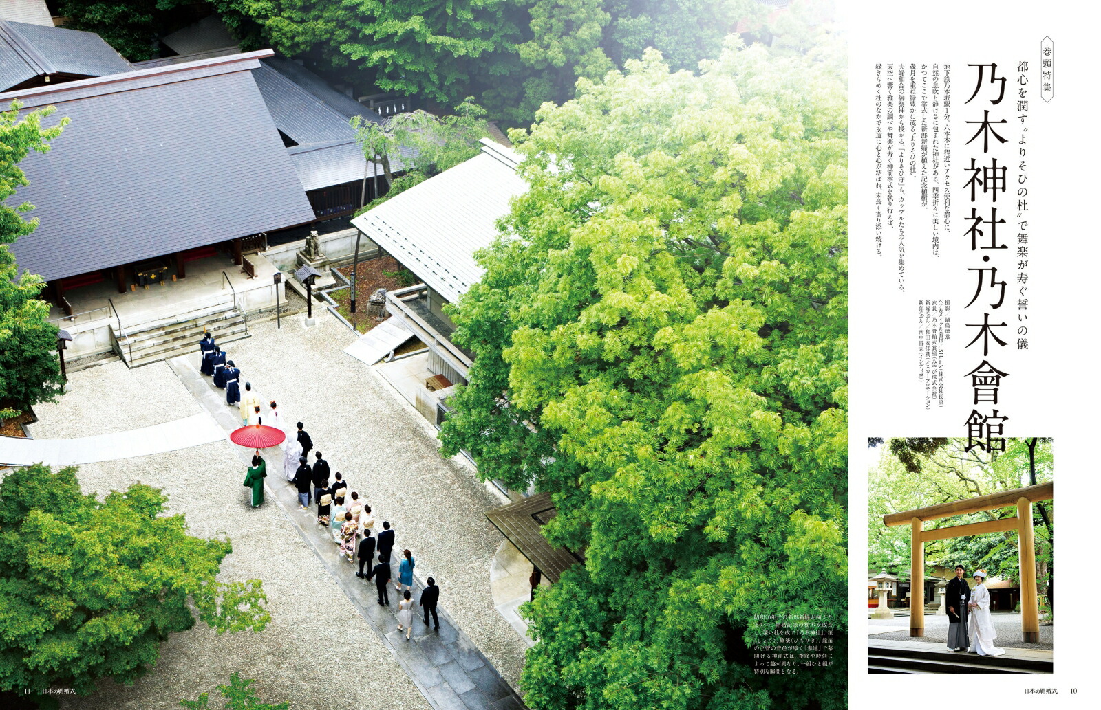 ���ܤη뺧��No.34�����襷�꡼����[IBJ�����ǥ���]