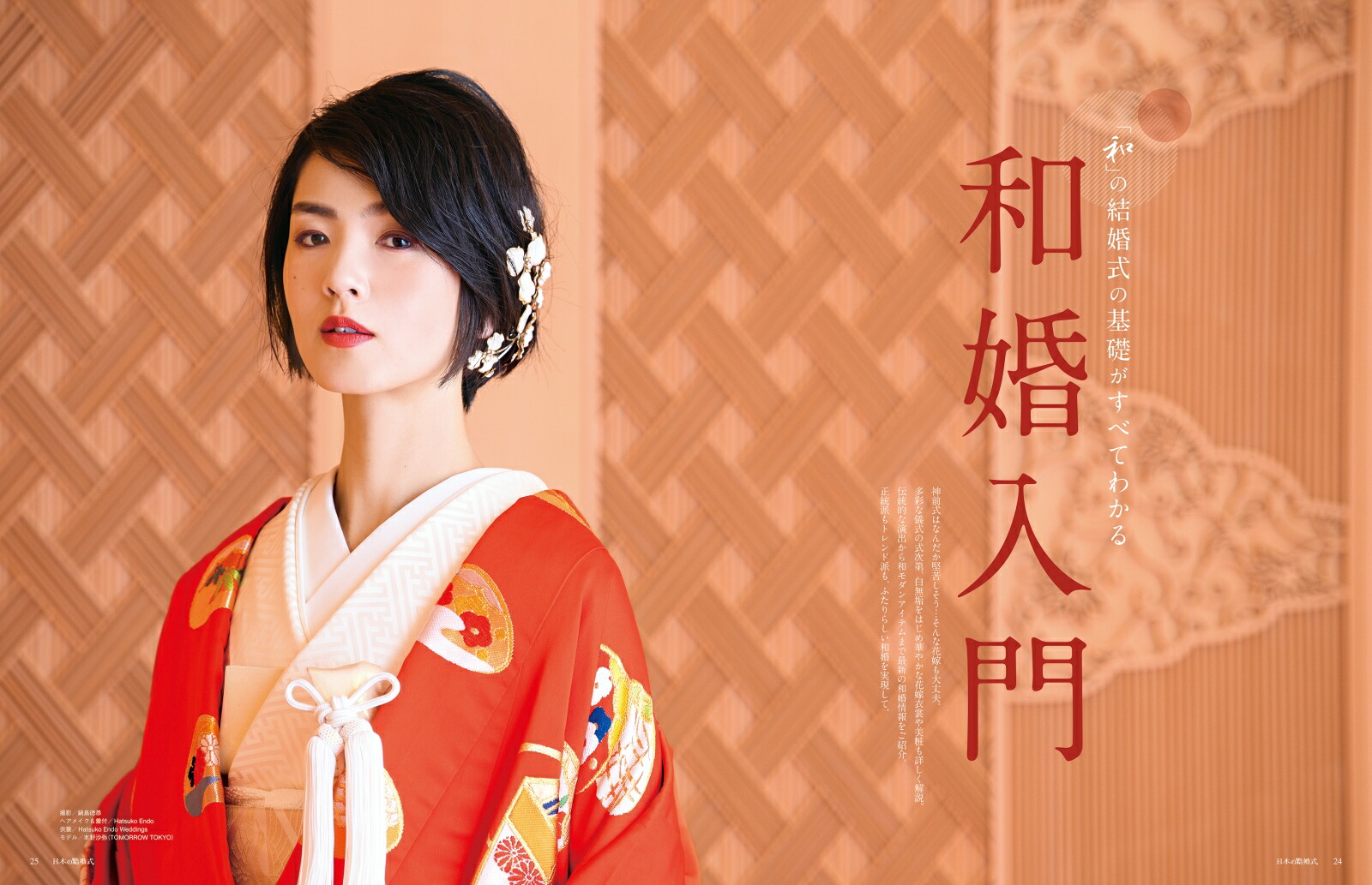 ���ܤη뺧��No.34�����襷�꡼����[IBJ�����ǥ���]