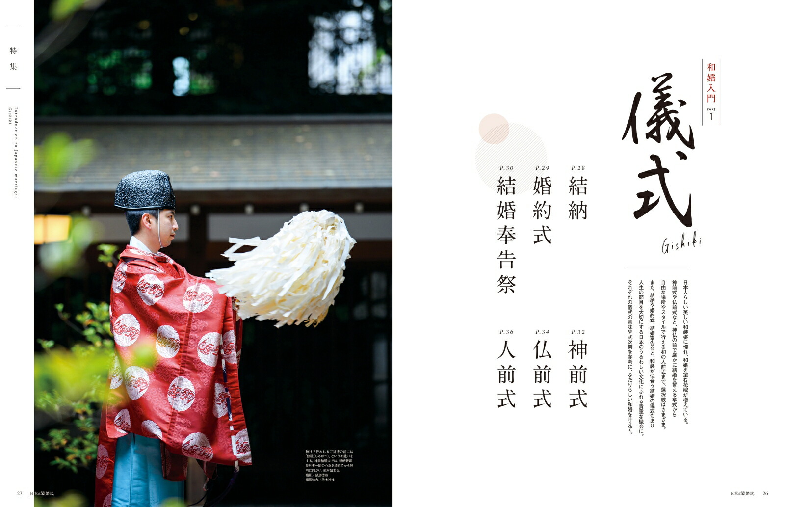 ���ܤη뺧��No.34�����襷�꡼����[IBJ�����ǥ���]